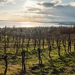 Aparthotel Domaine Edegger - Organic Winery Badacsony