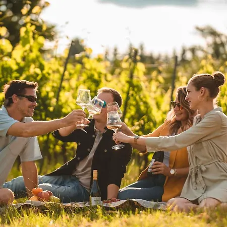 아파트호텔 Domaine Edegger - Organic Winery Badacsony 바다초니토마이