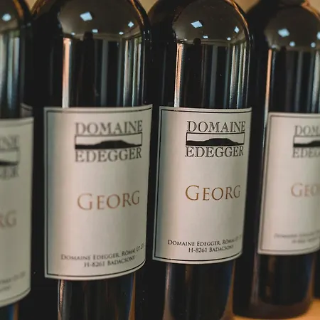 Domaine Edegger - Organic Winery Badacsony 아파트호텔 3*