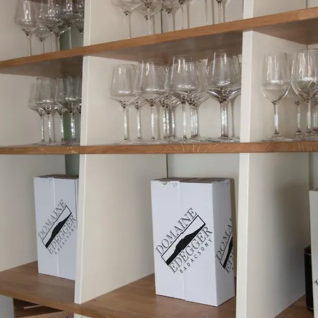 Apart Otel Domaine Edegger - Organic Winery Badacsony