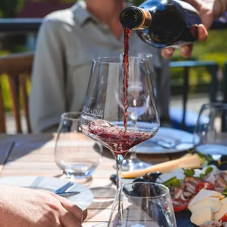 Domaine Edegger - Organic Winery Badacsony Ξενοδοχείο με διαμερίσματα Badacsonytomaj