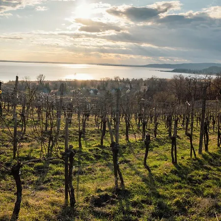 아파트호텔 Domaine Edegger - Organic Winery Badacsony