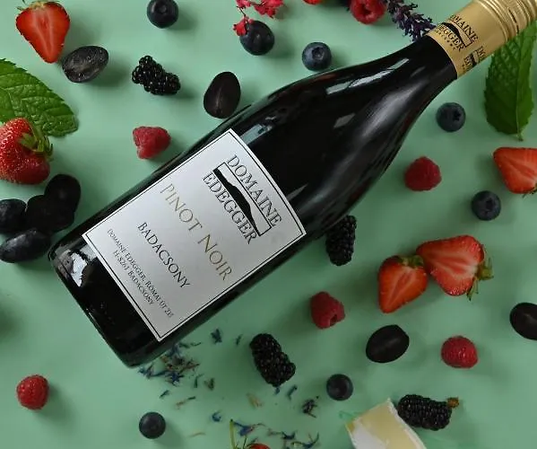 Domaine Edegger - Organic Winery Badacsony 包道乔尼托毛伊