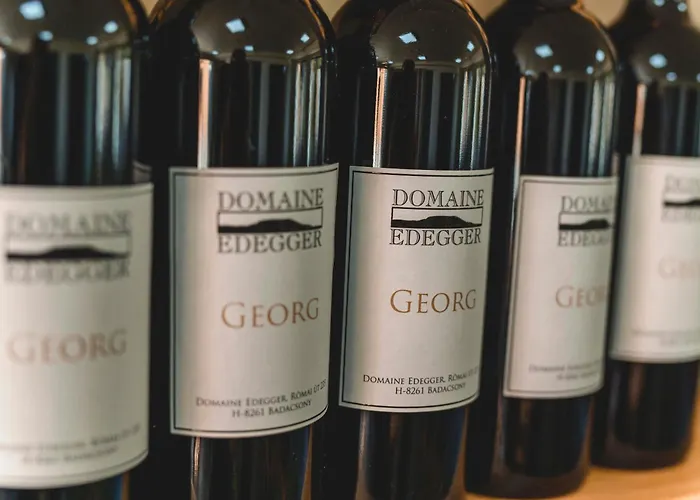 Domaine Edegger - Organic Winery Badacsony 公寓式酒店 3*