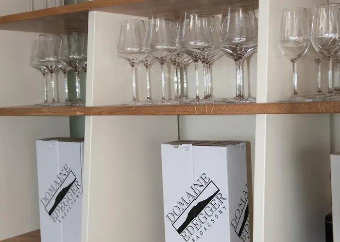 公寓式酒店 Domaine Edegger - Organic Winery Badacsony