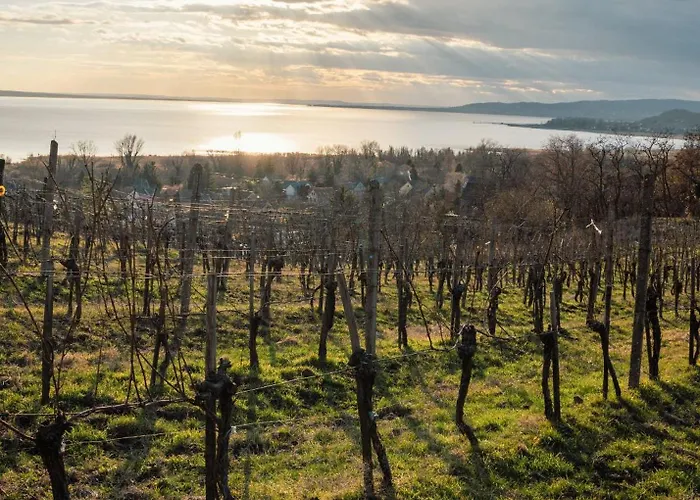 Hotel apartamentowy Domaine Edegger - Organic Winery Badacsony